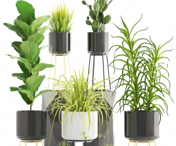 Modern Potted Green Plant-ID:933290249