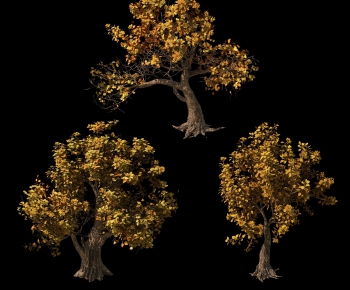 Modern Tree-ID:245530375