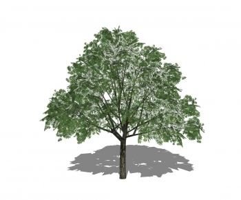 Modern Tree-ID:759404384