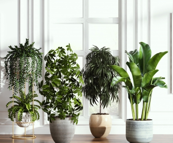 Modern Potted Green Plant-ID:142118161