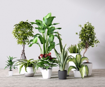 Modern Potted Green Plant-ID:523097379