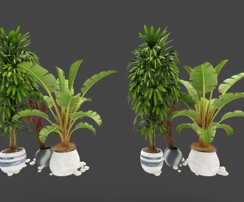 Modern Potted Green Plant-ID:976374316