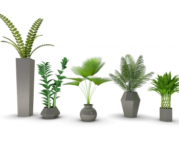 Modern Potted Green Plant-ID:662871499