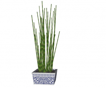 Modern Potted Green Plant-ID:461520215