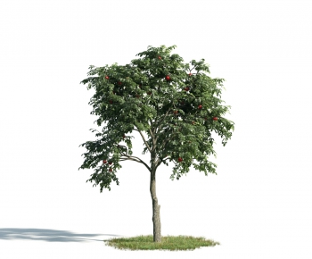 Modern Tree-ID:829351594