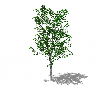 Modern Tree-ID:613636448