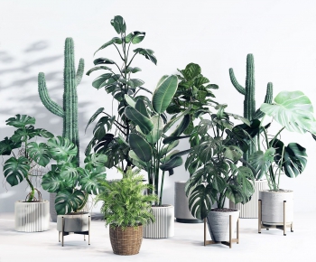 Modern Potted Green Plant-ID:949358512