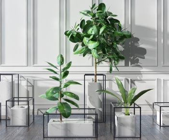 Modern Potted Green Plant-ID:792331626