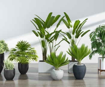 Modern Potted Green Plant-ID:936217484