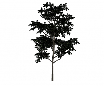 Modern Tree-ID:155680732
