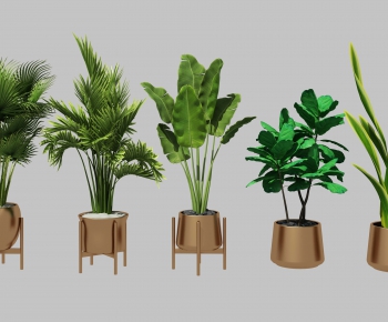 Modern Potted Green Plant-ID:902991141