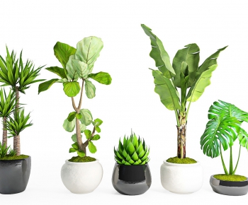 Modern Potted Green Plant-ID:491865519