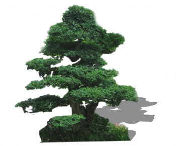 Modern Tree-ID:667369592