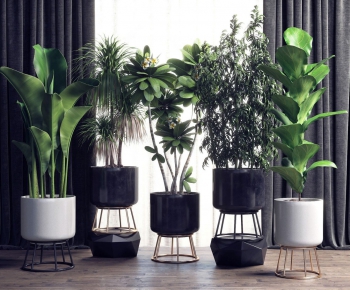 Modern Potted Green Plant-ID:374348982