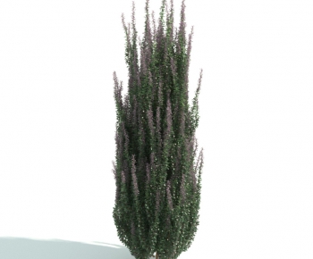 Modern Shrubbery-ID:558769225