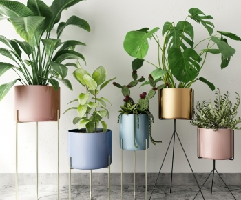 Modern Potted Green Plant-ID:798795575