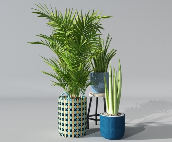 Modern Potted Green Plant-ID:397017419