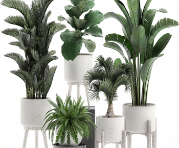 Modern Potted Green Plant-ID:796071689