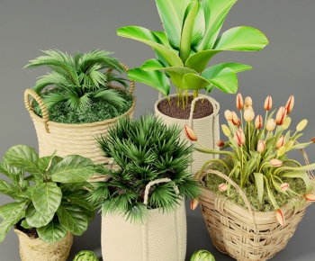 Modern Potted Green Plant-ID:980396253