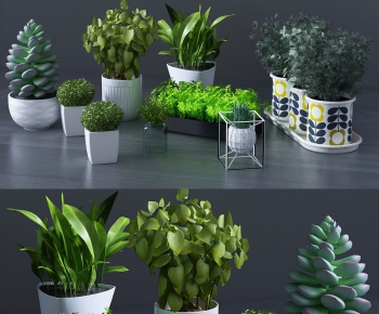 Modern Potted Green Plant-ID:256327646