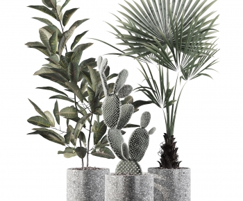 Modern Potted Green Plant-ID:855576855