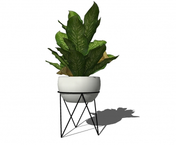 Modern Potted Green Plant-ID:441779123