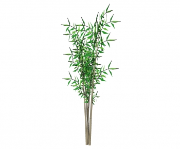 Modern Bamboo-ID:783771572