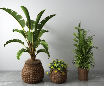 Modern Potted Green Plant-ID:338277973