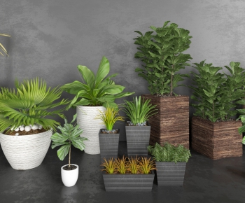 Modern Potted Green Plant-ID:983818652