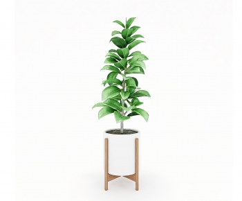 Modern Potted Green Plant-ID:654718197