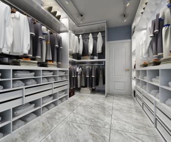 Modern Clothes Storage Area-ID:104798926