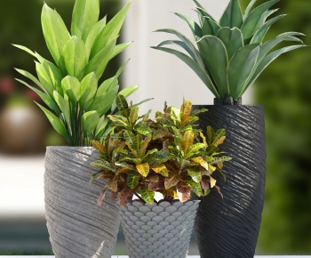 Modern Potted Green Plant-ID:130395413