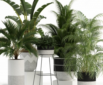 Modern Potted Green Plant-ID:937892597