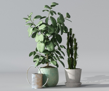 Modern Potted Green Plant-ID:586516232