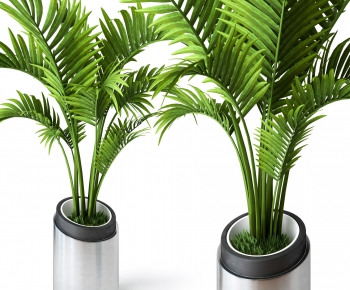 Modern Potted Green Plant-ID:599501435