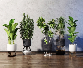 Modern Potted Green Plant-ID:767902116