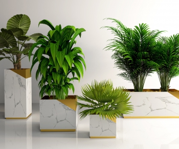 Modern Potted Green Plant-ID:207303183