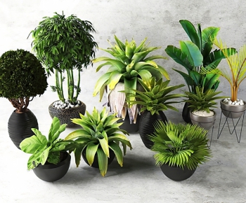 Modern Potted Green Plant-ID:395733799