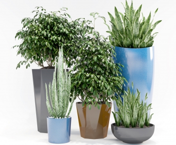 Modern Potted Green Plant-ID:257574332