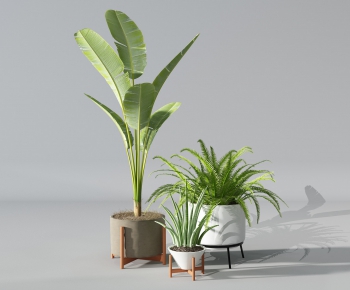 Modern Potted Green Plant-ID:552691632