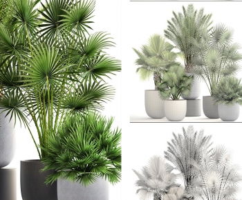 Nordic Style Potted Green Plant-ID:927232234