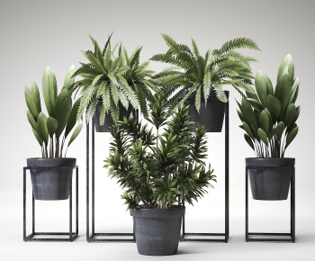 Modern Potted Green Plant-ID:549922177