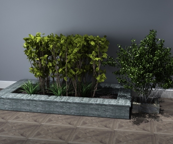 Modern Shrubbery-ID:509347198