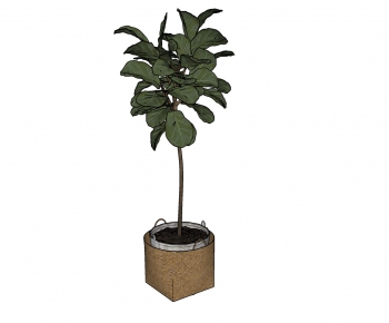 Modern Potted Green Plant-ID:648529535