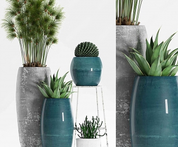 Modern Potted Green Plant-ID:545634567