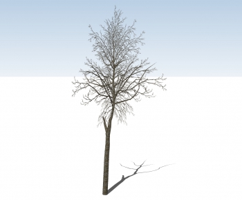 现代冬季树-ID:596976892
