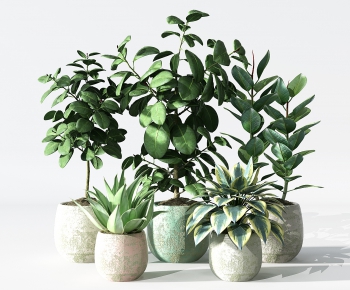 Modern Potted Green Plant-ID:606256242