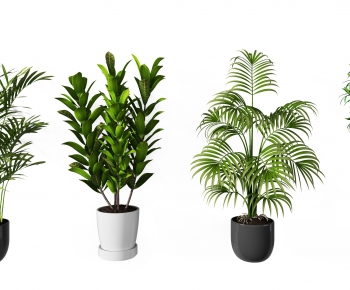 Modern Potted Green Plant-ID:592356157