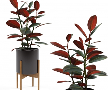 Modern Potted Green Plant-ID:424958615