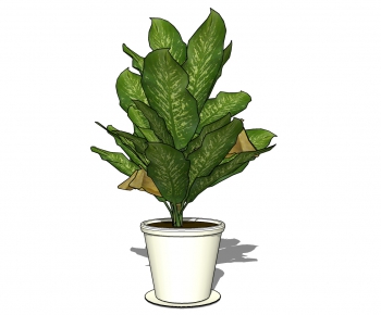 Modern Potted Green Plant-ID:187924954